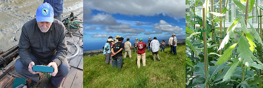 Dr. Bryan Pijanowski checks a sensor, the Tropical HTIRC board meets in Hawaii, trees in the genomics lab
