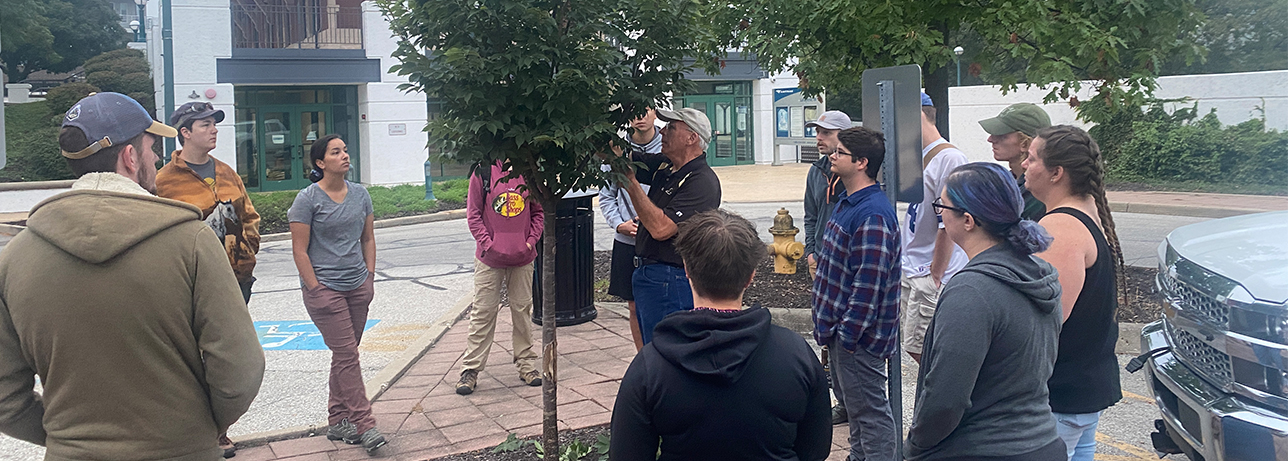 Urban Forestry 