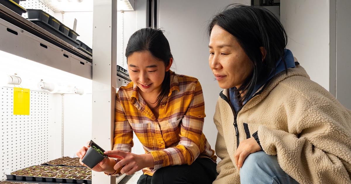 Two women examining plant seedlings inside an growth chamber 