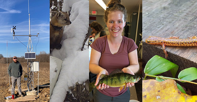 A weather station at Martell Forest, an American marten, alumna Zoe Alameida, a long-tailed salamander